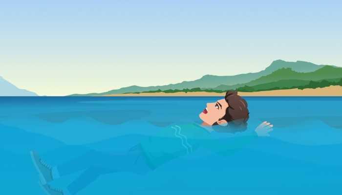 兰岛最新消息爆料,揭秘最新热点事件内幕