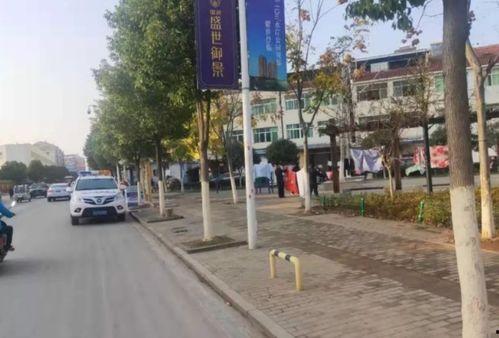 最新爆料黄梅,揭秘背后惊人真相