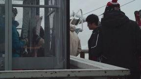 最新爆料暴雪视频下载,独家视频下载攻略揭秘