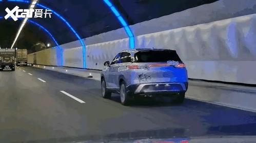 比亚迪护卫爆料视频最新