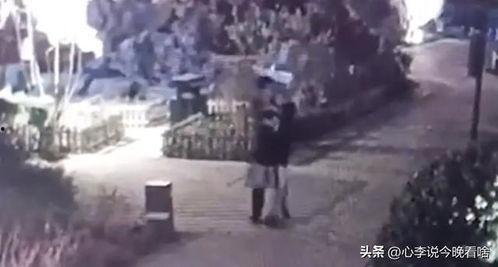 乐亭吃瓜最新事件爆料视频,最新爆料视频揭秘惊人内幕