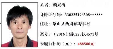 层岩舅最新爆料35,35岁人生新篇章，揭秘不为人知的背后故事